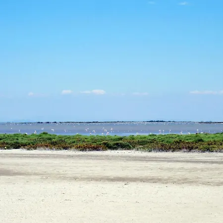 Appartement Le Marlin By Interhome